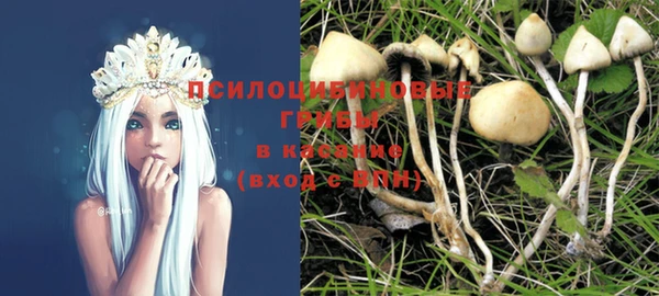 спайс Абинск