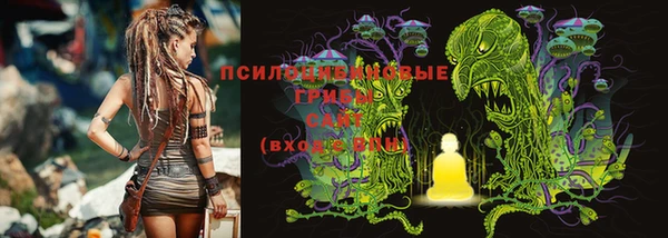 спайс Абинск